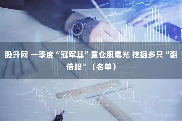 股升网 一季度“冠军基”重仓股曝光 挖掘多只“翻倍股”（名单）