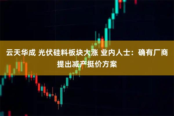 云天华成 光伏硅料板块大涨 业内人士：确有厂商提出减产挺价方案