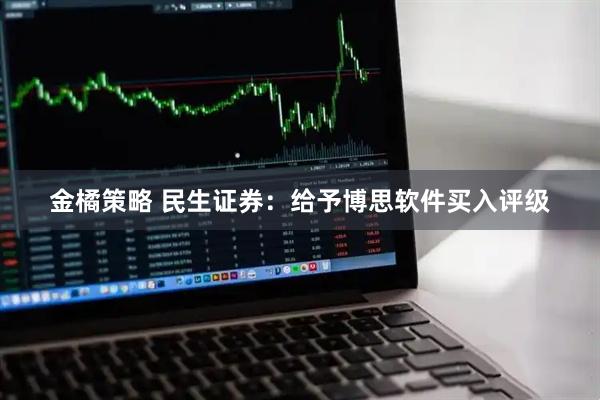 金橘策略 民生证券：给予博思软件买入评级