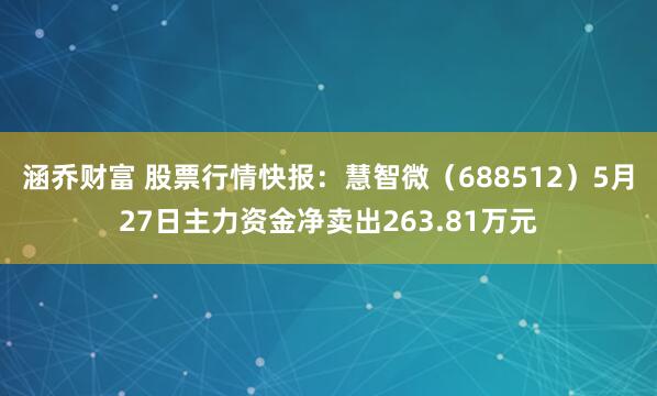 涵乔财富 股票行情快报：慧智微（688512）5月27日主力资金净卖出263.81万元