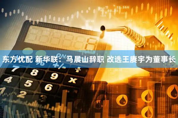 东方优配 新华联：马晨山辞职 改选王赓宇为董事长
