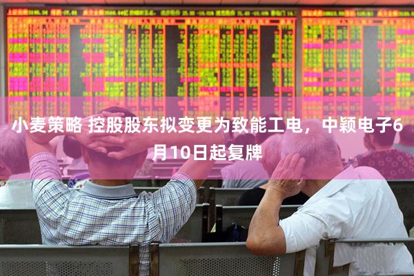 小麦策略 控股股东拟变更为致能工电，中颖电子6月10日起复牌