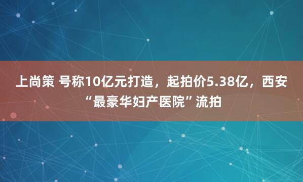 上尚策 号称10亿元打造，起拍价5.38亿，西安“最豪华妇产医院”流拍