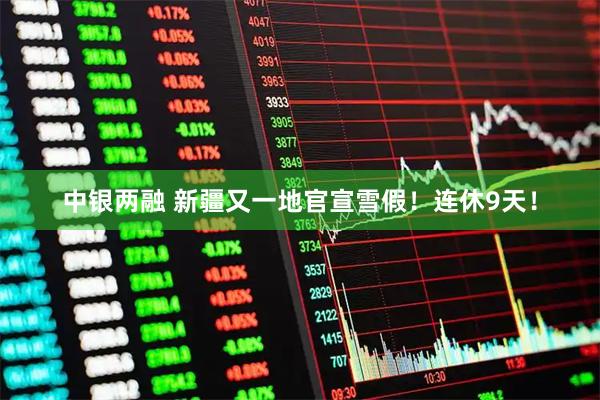 中银两融 新疆又一地官宣雪假！连休9天！