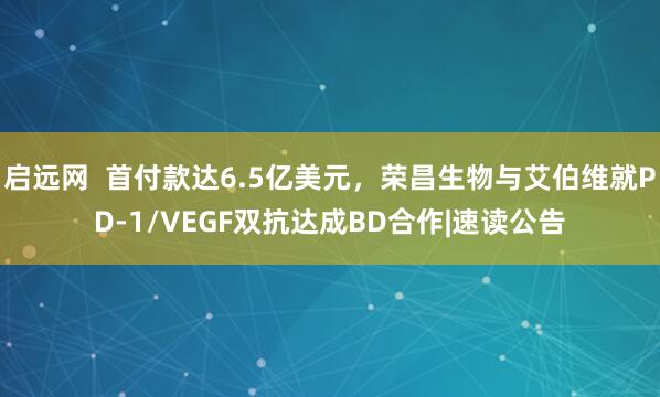 启远网  首付款达6.5亿美元，荣昌生物与艾伯维就PD-1/VEGF双抗达成BD合作|速读公告