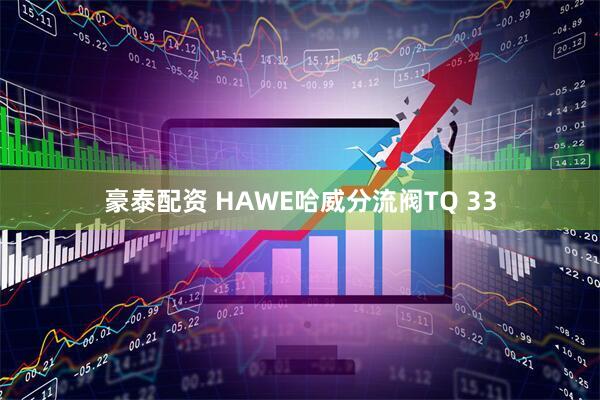 豪泰配资 HAWE哈威分流阀TQ 33