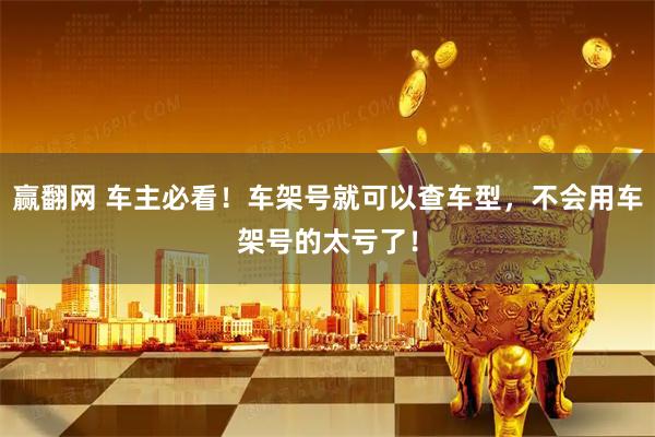 赢翻网 车主必看！车架号就可以查车型，不会用车架号的太亏了！