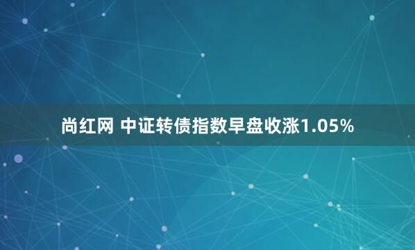 尚红网 中证转债指数早盘收涨1.05%