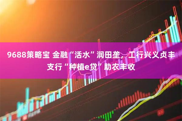 9688策略宝 金融“活水”润田垄，工行兴义贞丰支行“种植e贷”助农丰收