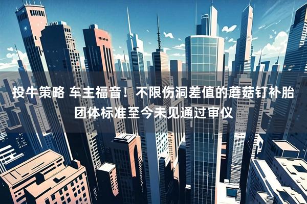 投牛策略 车主福音！不限伤洞差值的蘑菇钉补胎团体标准至今未见通过审仪