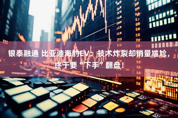 银泰融通 比亚迪海豹EV：技术炸裂却销量尴尬，终于要“下手”翻盘！