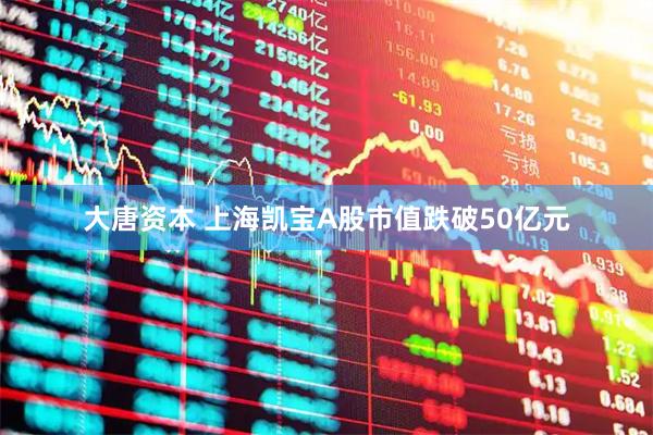 大唐资本 上海凯宝A股市值跌破50亿元